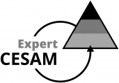 Logo de la certification Expert CESAM